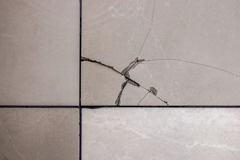 Residential Tile Repair
